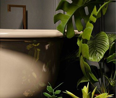 Easy Biophilic Bath ideas clawfoot next to large leafy plants