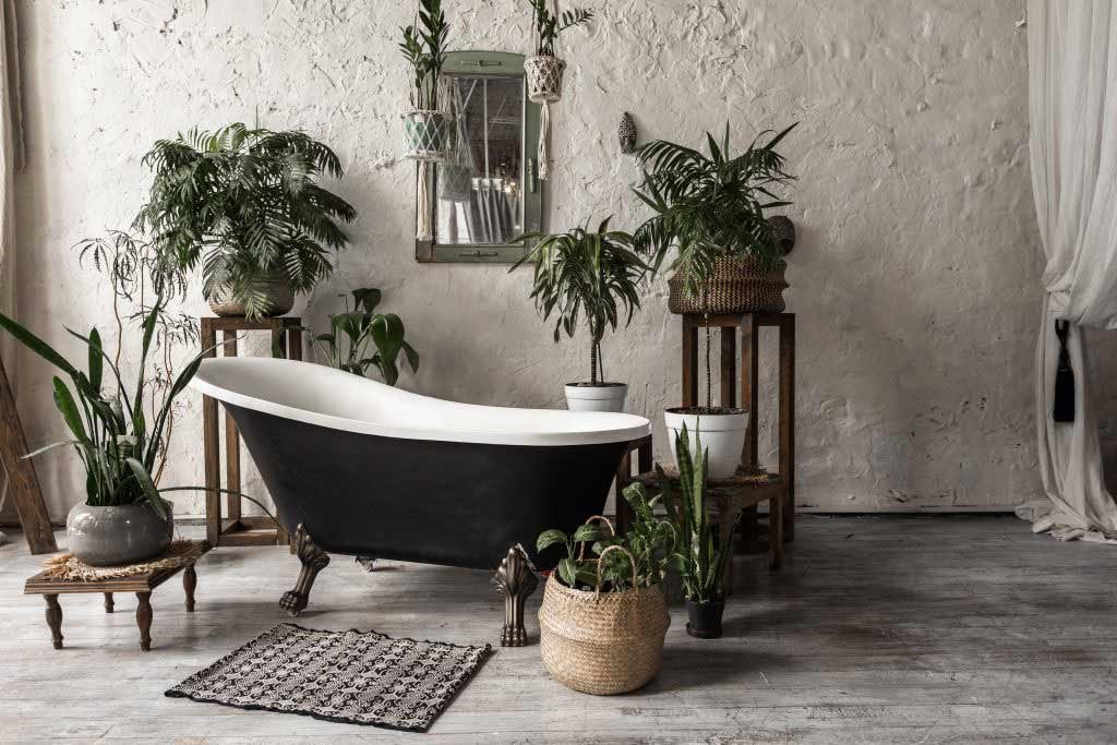 Natural Instincts: 10 Free and Easy Biophilic Bath ideas. black clawfoot tub with potted plants